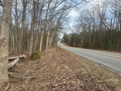 0 E Meinert Rd, Brunswick, MI 49425 - photo 4