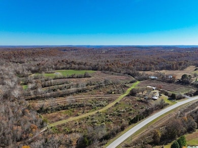 Illinois Route 1 unit LotWP001, Cave In Rock, IL 62919 - photo 4