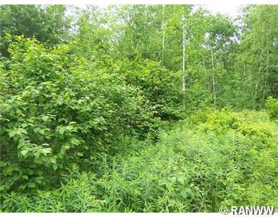 Lot 10 Deer Stand Trail, Meenon Township, WI 54893 - photo 4