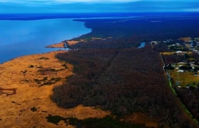 80 Acres, Kraemer, LA 70371 - photo 4