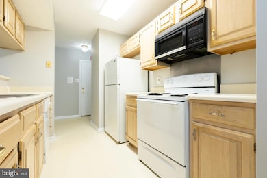 13110 Briarcliff Terrace unit 607, Germantown, MD 20874 - photo 6