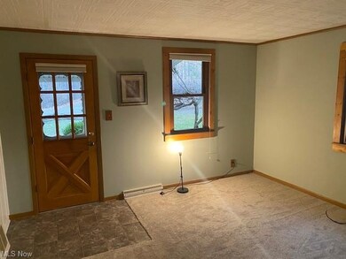 Brand new carpeting in the kitchen.