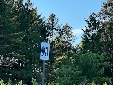 Lot 9/9A Third Creek Subdivision, Paradise, MI 49768 - photo 5