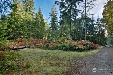 2761 Silent Cedars Ln, Langley, WA 98260 - photo 3