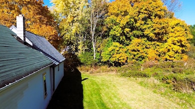 back side yard