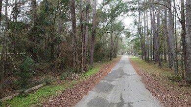23495 Sweet Gum Dr, Hockley, TX 77447 - photo 3