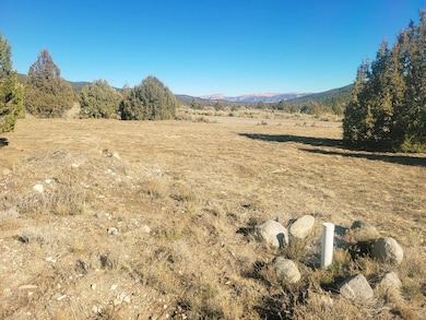 1872 S Liberty Dr, Hatch, UT 84735 - photo 4