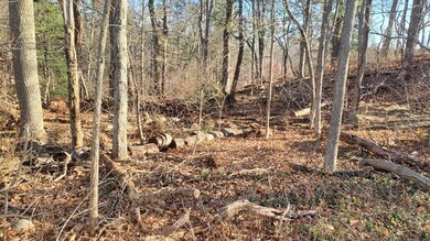 Lot 2 Williams St, Taunton, MA 02780 - photo 2