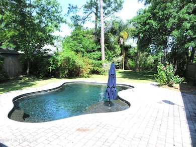 Pool/Backyard