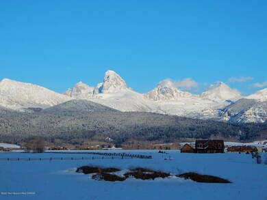 Winter view