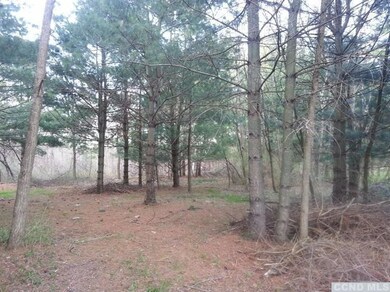 811 van Hoesen Rd, Castleton On Hudson, NY 12033 - photo 5