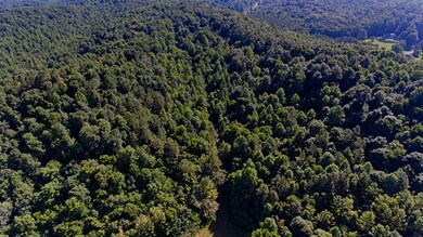 0 Tackets Br Rd unit RTC2400343, Goodspring, TN 38460 - photo 5