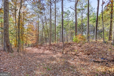 11.62+/- AC New Franklin Rd, Hogansville, GA 30230 - photo 5