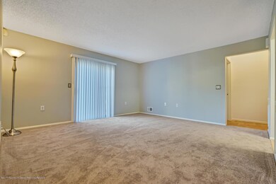202 Begonia Ct Jackson NJ-large-004-7-DS