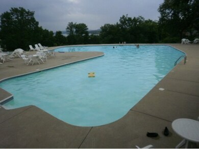 81 Summer Road #102 unit 102, Kimberling City, MO 65686 - photo 3