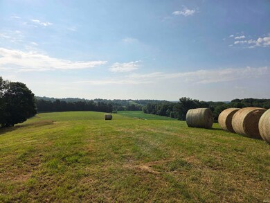 96.6 AC Reinhart Rd, Perry Township, IN 47553 - photo 6