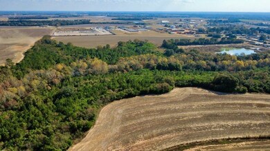 unlisted-address, Headland, AL 36345 - photo 6