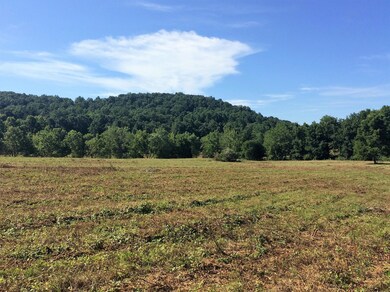 30 Ac. - Borden Grant Trail unit 706, Fairfield, VA 24435 - photo 2