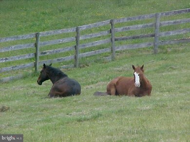 446 Lankford Rd, Harwood, MD 20776 - photo 4