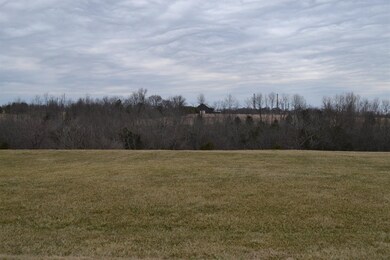 175 Lakeland Dr, Harrodsburg, KY 40330 - photo 2