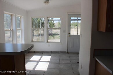 9 Road 5183, Bloomfield, NM 87413 - photo 4