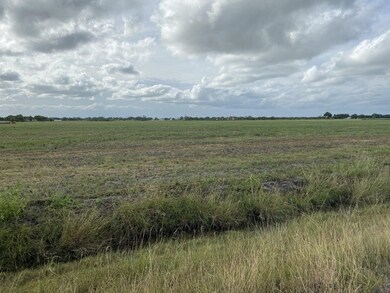 00 Padon Rd, Needville, TX 77461 - photo 4