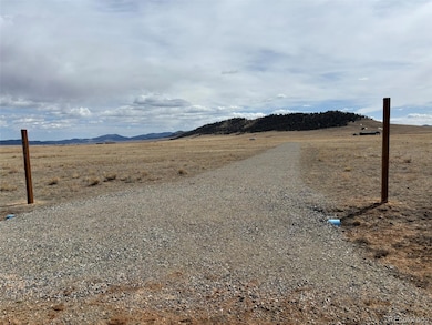 6600 Routt Rd, Hartsel, CO 80449 - photo 4