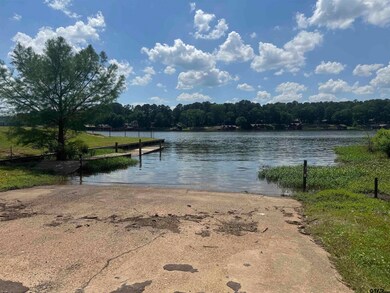 Lot 16 Hunters Hollow Dr, Mount Vernon, TX 75457 - photo 4