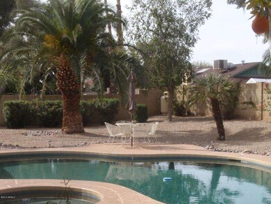 Pool & Spa