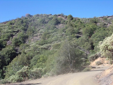 XX Humbug Rd, Yreka, CA 96097 - photo 6