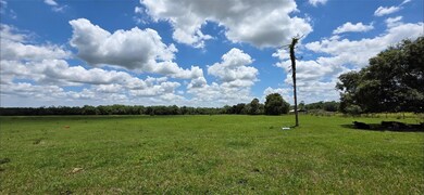 16984 NW 176th Ave, Okeechobee, FL 34972 - photo 6