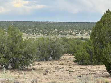 171 E Witch Well Ranches -- unit 171, Saint Johns, AZ 85936 - photo 4