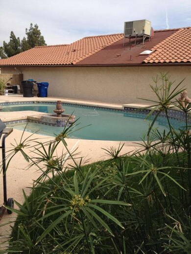tropical pool