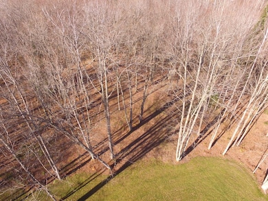 n8472 South Rd, Deerbrook, WI 54424 - photo 4