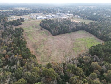 610 E Redcut Rd, Fouke, AR 71837 - photo 4