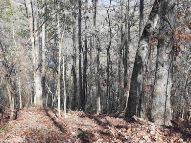 000 Hwy 9, Mountain View, AR 72560 - photo 2