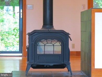 38 & 50 Black Bear Trail, Washington, VA 22747 - photo 5