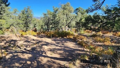 TBD L 42nd Trail, Cotopaxi, CO 81223 - photo 2