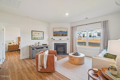 239 Artist Ave, Johnson City, TN 37615 - photo 7