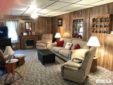 102 E Union St, Virginia, IL 62691 - photo 7