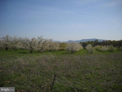 0 Buffalo Marsh Rd unit 1004780794, Middletown, VA 22645 - photo 7