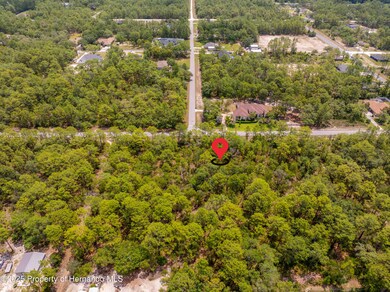 DJI_20250515032833_0020_D copy