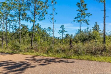 2 Pilgrim Rest Rd, Dequincy, LA 70633 - photo 4