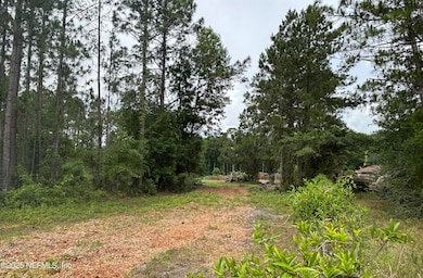 mostly cleared property
