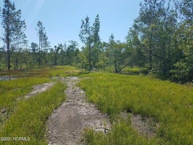 81 acres cromartie rd 5