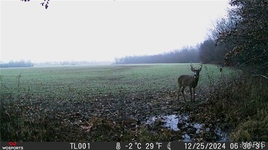 0 Bales Rd (81 8+ - Acres), Middletown, MO 63359 - photo 7