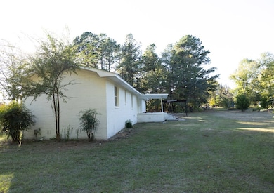 70 County Road 1779, Bivins, TX 75555 - photo 4