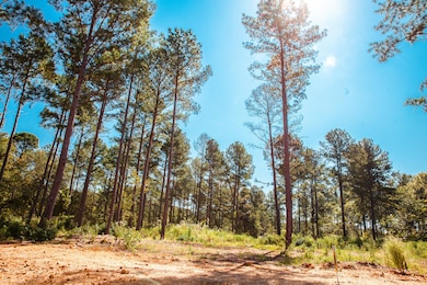 535 Rabbit Pen Dr, Appling, GA 30802 - photo 3