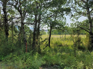 View of local wilderness