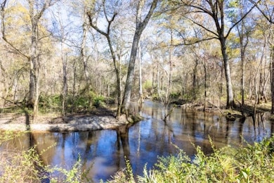 3007 Zion Grove Church Rd, Coolidge, GA 31738 - photo 3